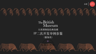 IP二次开发举例参鉴（时尚类）