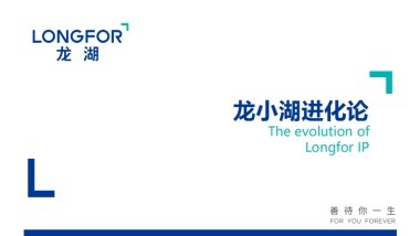 龙小湖IP进化论