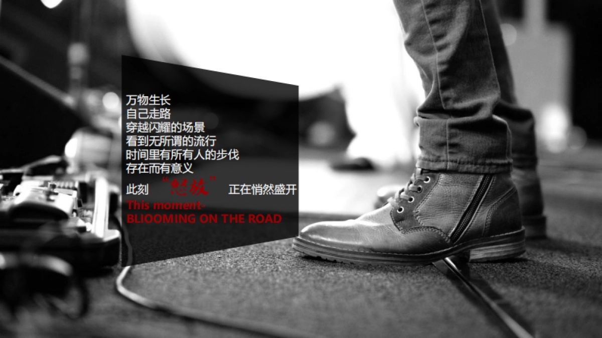 怒放IP营销方案V2_第2页