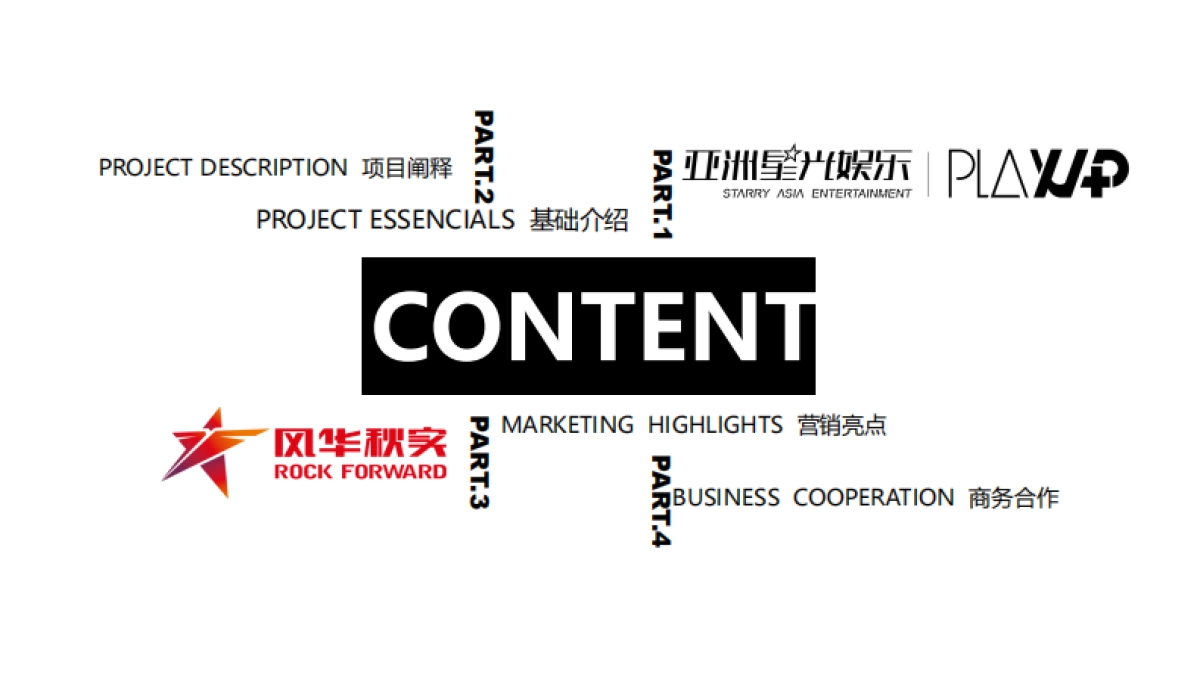 怒放IP营销方案V2_第3页