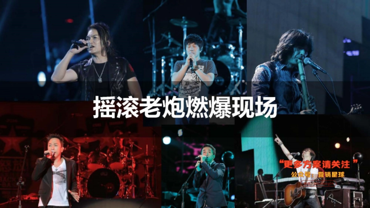 怒放IP营销方案V2_第8页