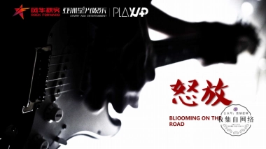 怒放IP营销方案V2