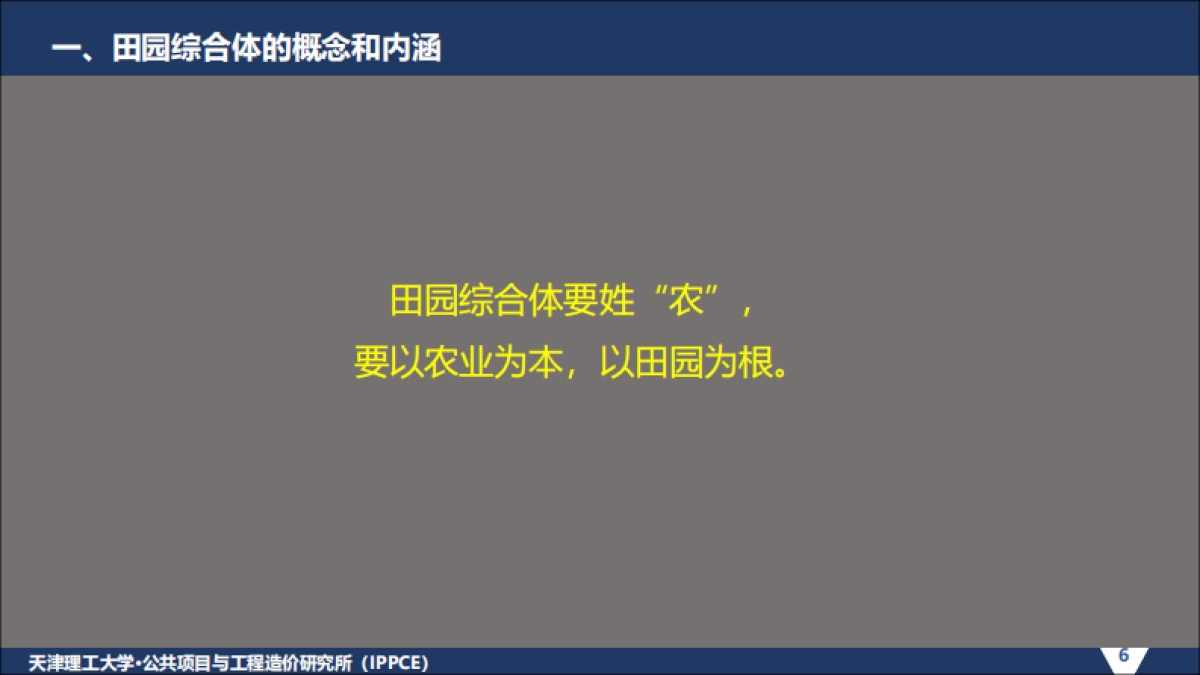 田园综合体策划（IPPCE）_第6页