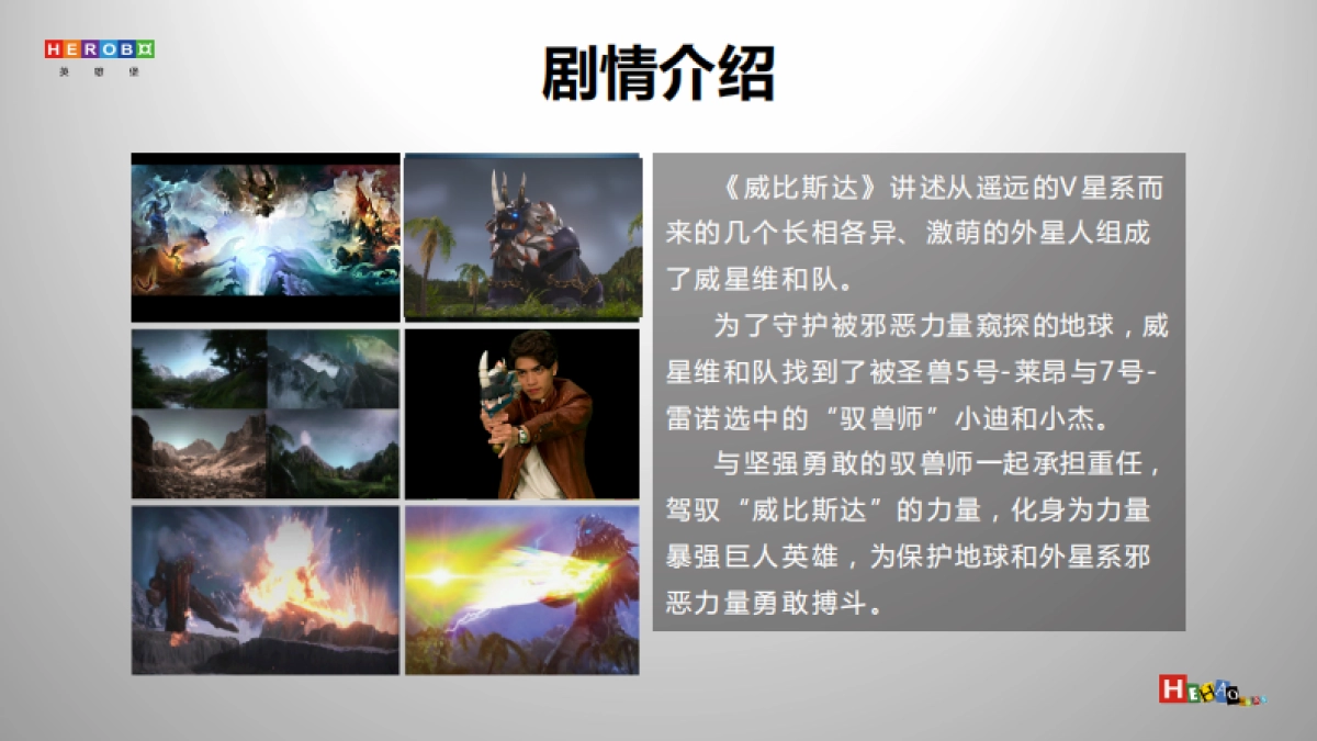 威比斯达 IP 介绍_第3页