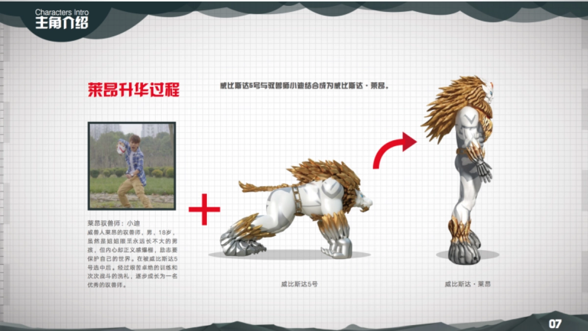 威比斯达 IP 介绍_第6页