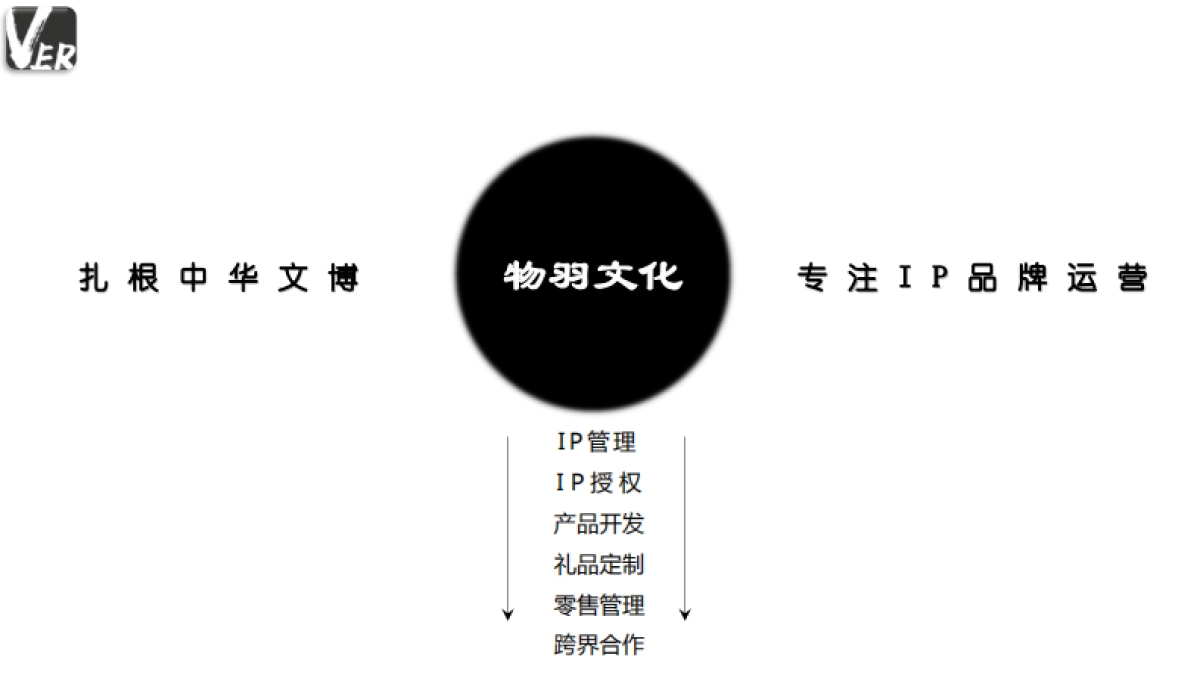 物羽文博IP-商业合作_第3页