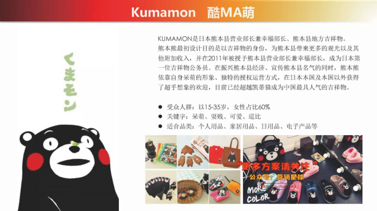 云兔IP★营销公司简介_第6页