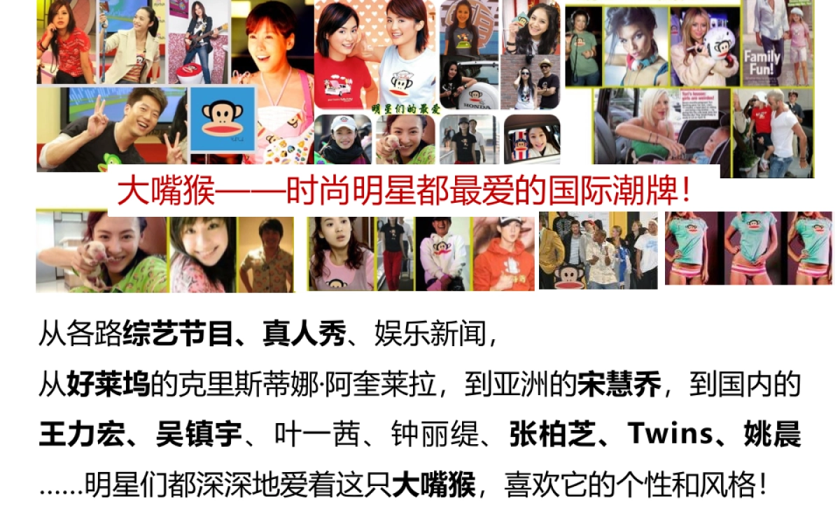 蓝果大嘴猴IP运营能力_第7页