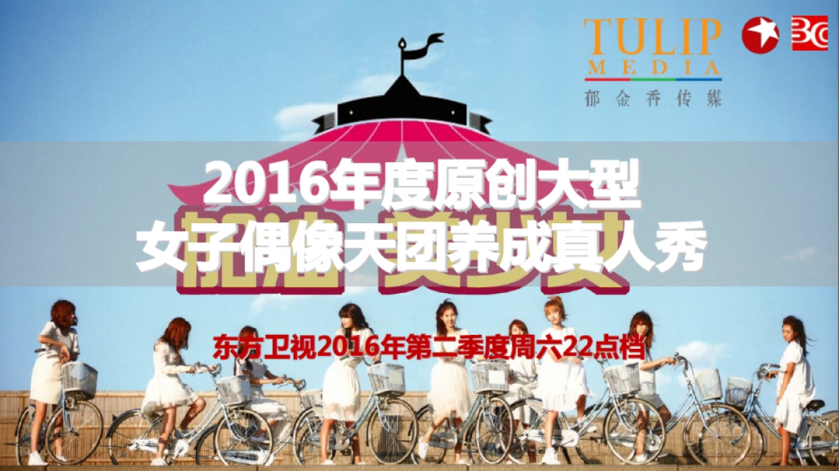 飘柔IP植入推荐合作方案_第3页