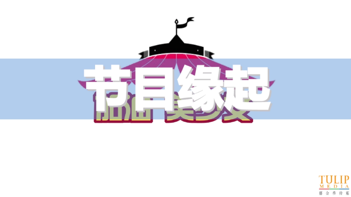 飘柔IP植入推荐合作方案_第7页