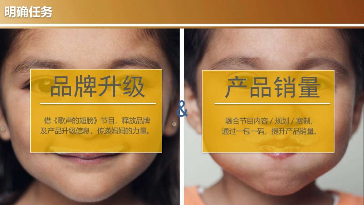 2017年未来星_电视IP整合营销方案_第2页