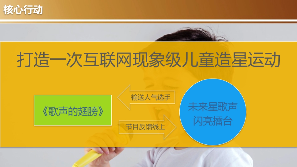 2017年未来星_电视IP整合营销方案_第3页