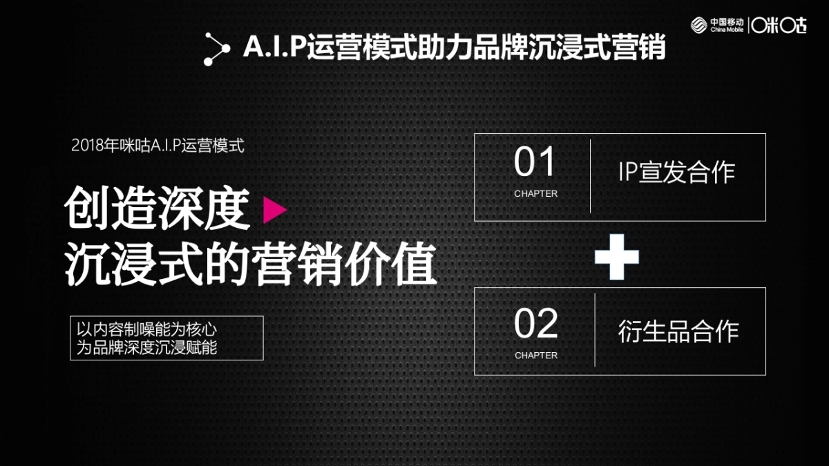 2018年重点IP项目运营计划及衍生品规划_第9页