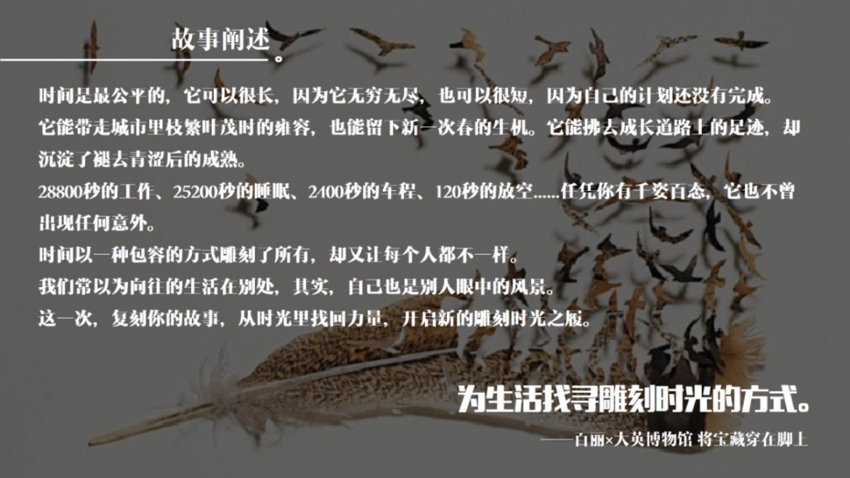 百丽品牌IP项目整合营销方案v2.0_第6页