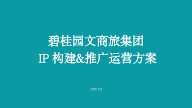 碧桂园文商旅集团 ip 构建&传播运营方案