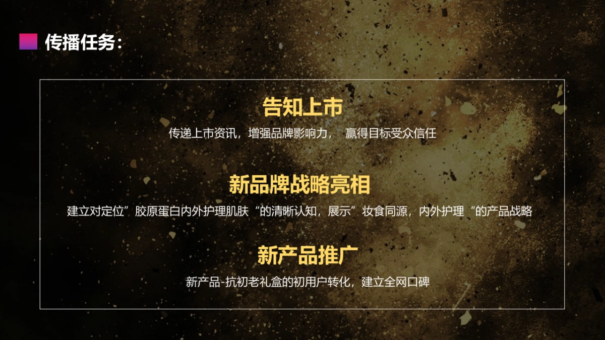 伏尔集团IPO上市阶段传播活动规划_第5页