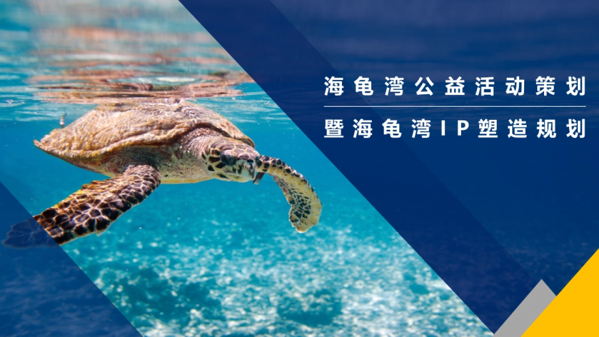海龟湾公益活动策划暨IP塑造策划案_第1页