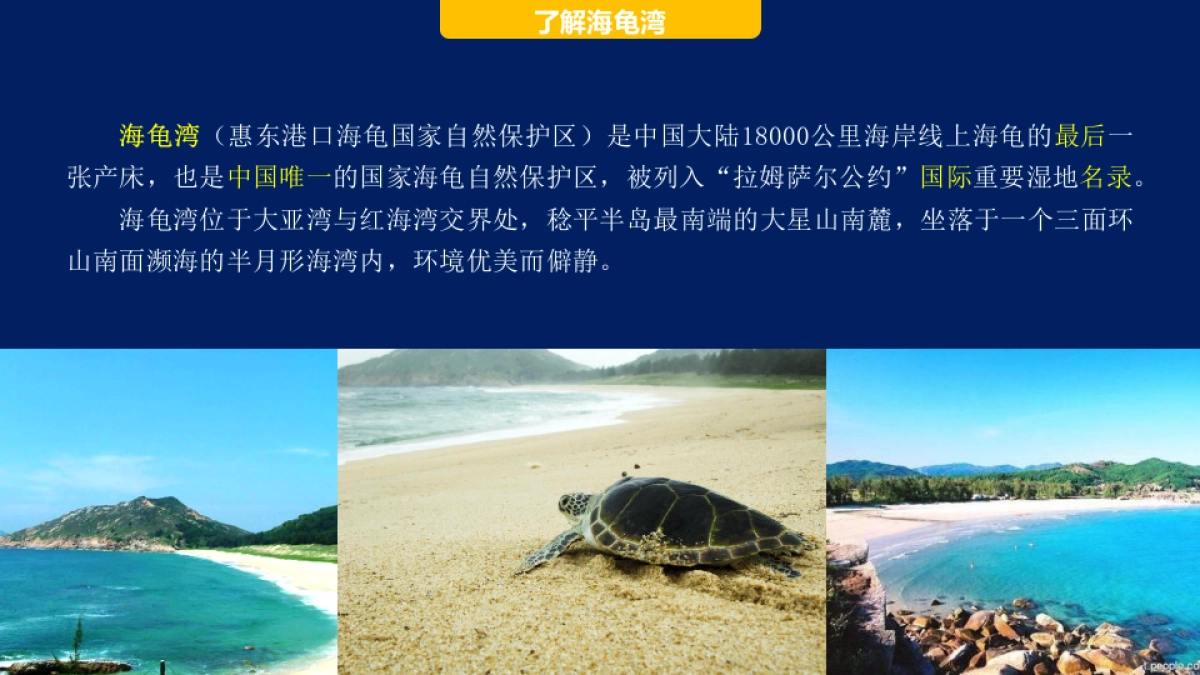 海龟湾公益活动策划暨IP塑造策划案_第5页