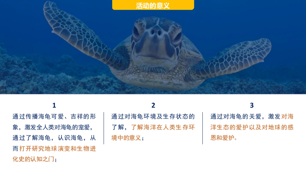 海龟湾公益活动策划暨IP塑造策划案_第8页