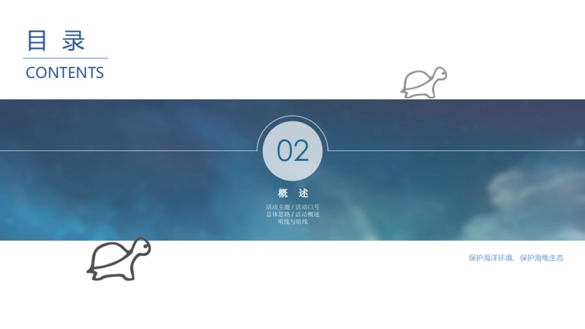 海龟湾公益活动策划暨IP塑造策划案_第9页