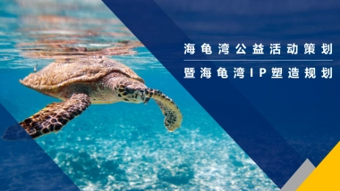 海龟湾公益活动策划暨IP塑造策划案