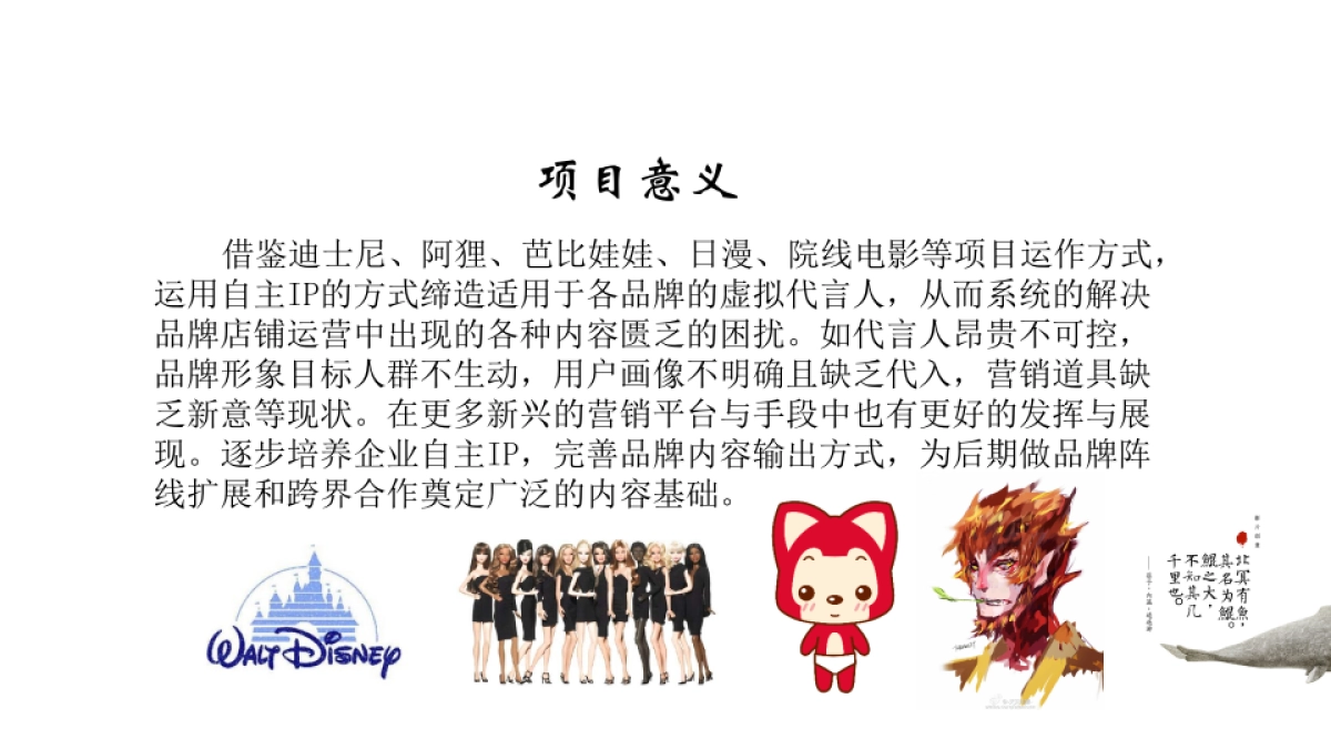 红蜻蜓family自主IP项目策划方案_第5页