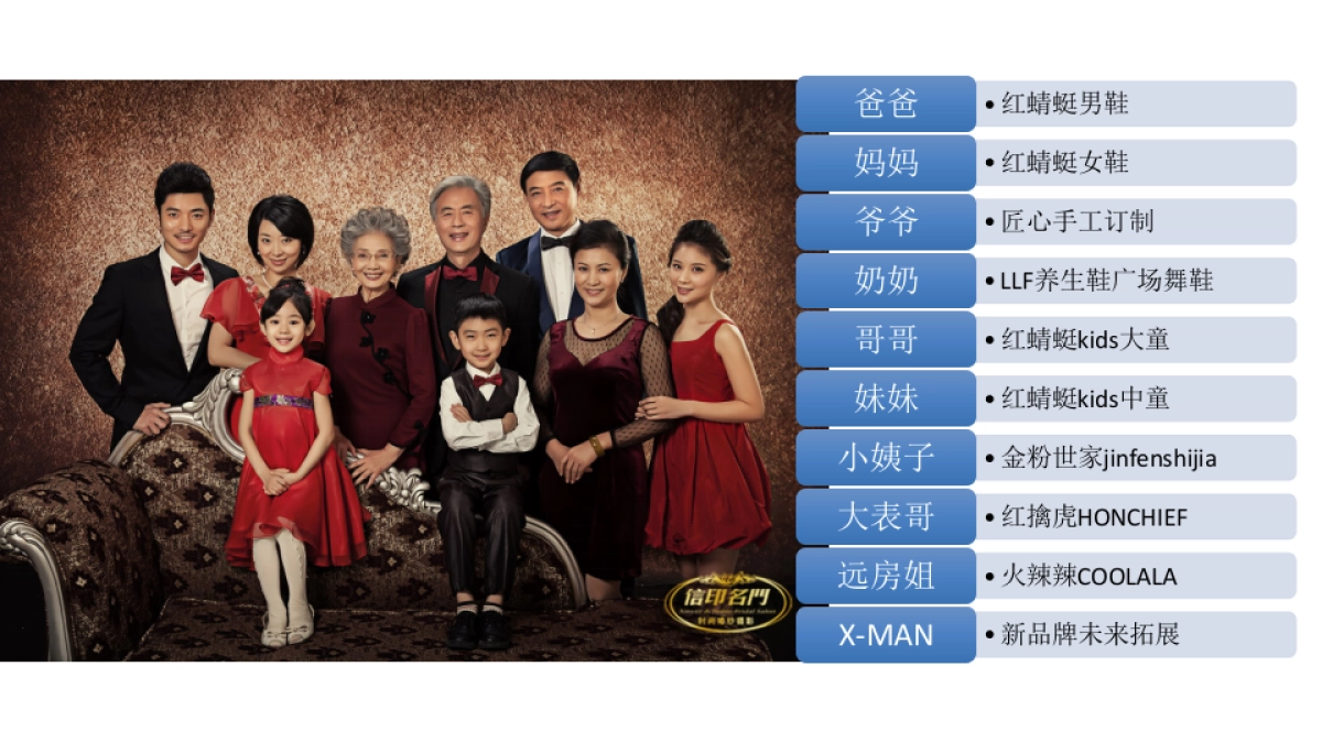 红蜻蜓family自主IP项目策划方案_第7页