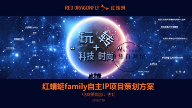 红蜻蜓family自主IP项目策划方案
