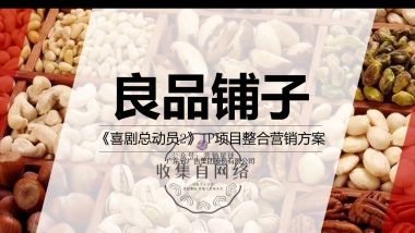 良品铺子《喜剧总动员2》IP项目整合营销方案0905A