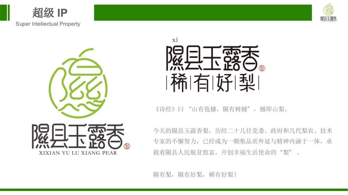 隰县玉露香梨超级IP营销方案暨隰县梨文化节线上运营方案_第10页