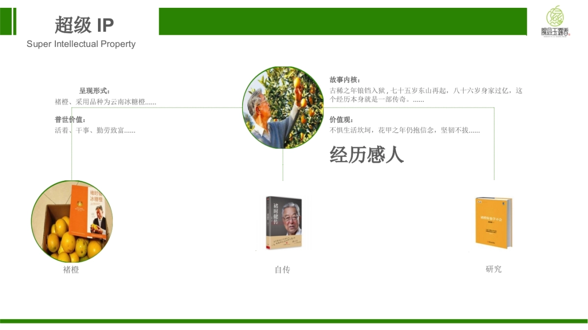 隰县玉露香梨超级IP营销方案暨隰县梨文化节线上运营方案_第7页