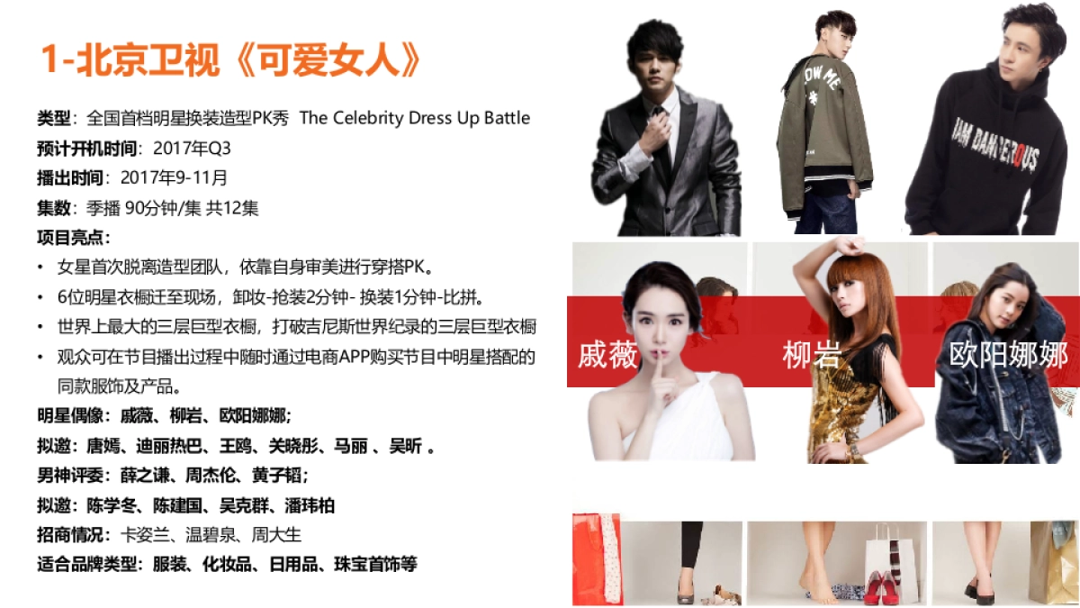 新文化IP项目合作提案_第5页