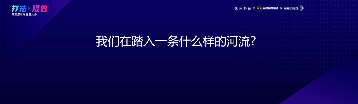 见实-徐志斌：2021：私域流量进入四“新”阶段_第4页