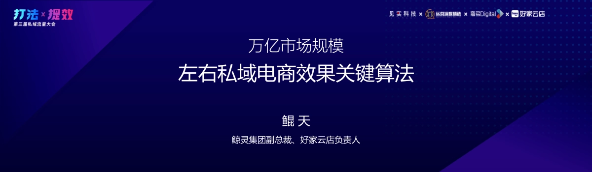 鲸灵-鲲天:万亿市场规模:左右私域电商效果的关键算法!_第3页