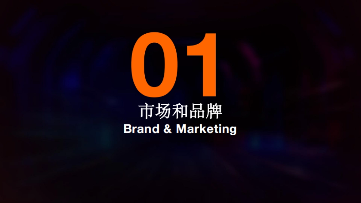 美妆连锁全渠道增长：私域存量激活与公域增量博弈_第3页