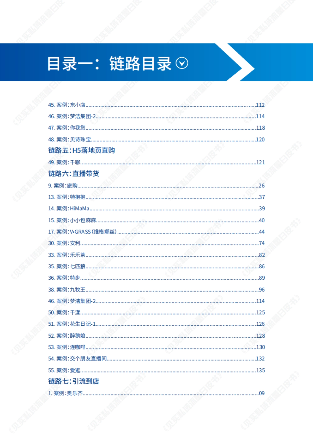 私域运营招式手册-见实科技-190页_第6页