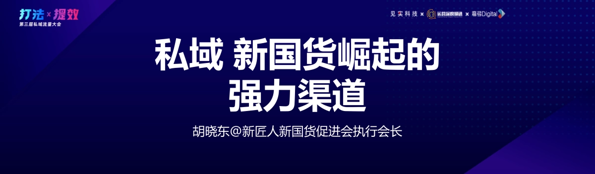 新国货-胡晓东：私域新阶段：新国货崛起的新强力渠道_第3页