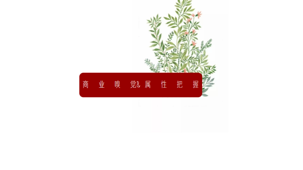 2020商业广场全年会员营销活动方案_第2页