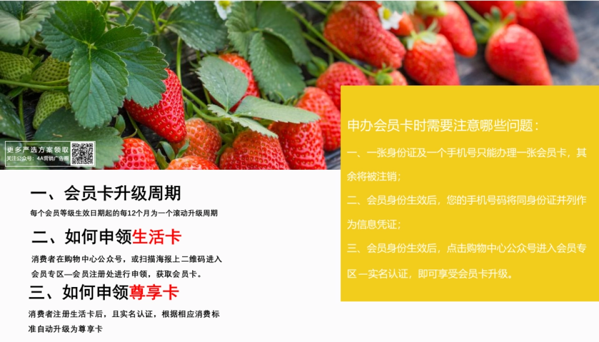 2021商业购物中心会员招募计划方案-28P_第4页