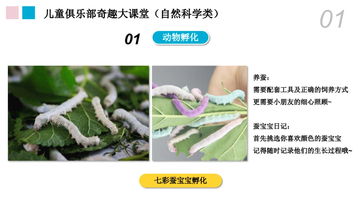 2023万象汇购物中心会员活动年度规划_第7页