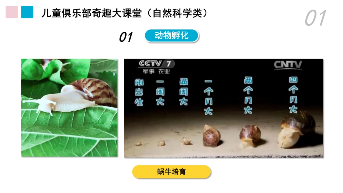 购物中心会员活动年度规划_第6页