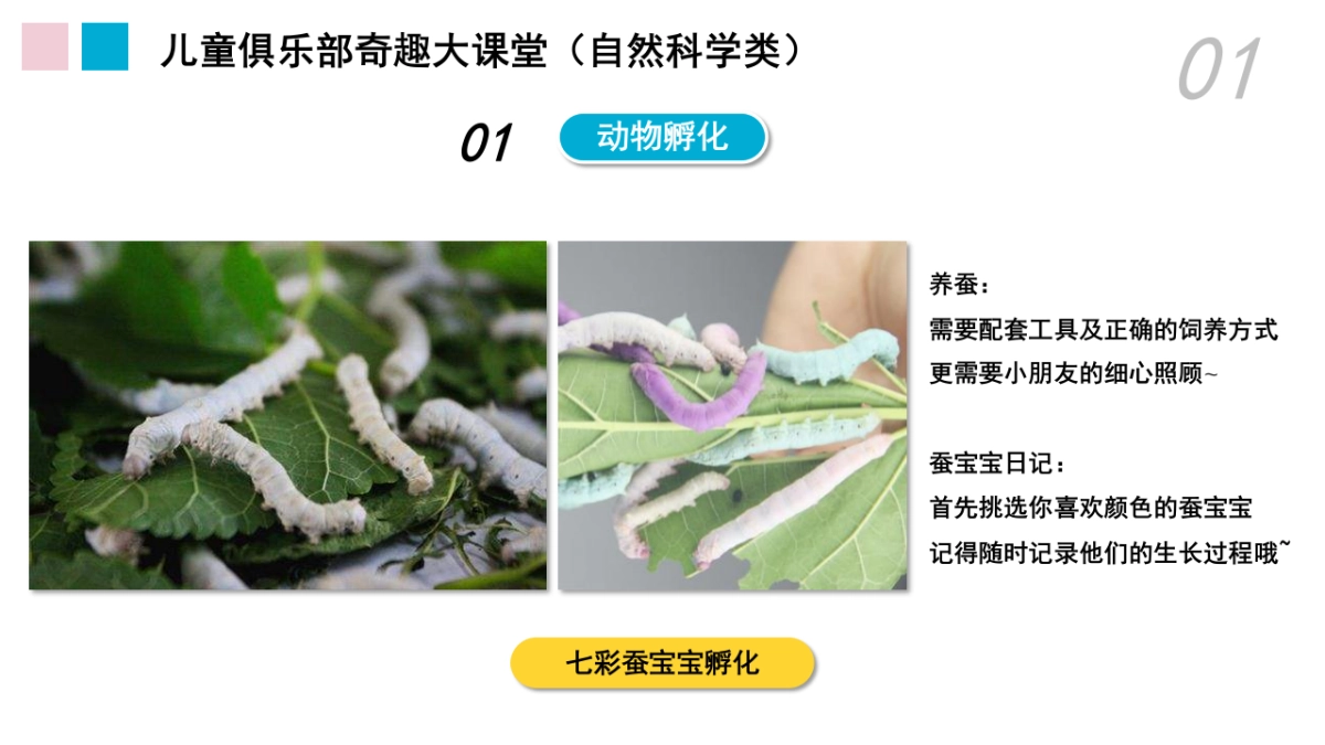 购物中心会员活动年度规划_第7页