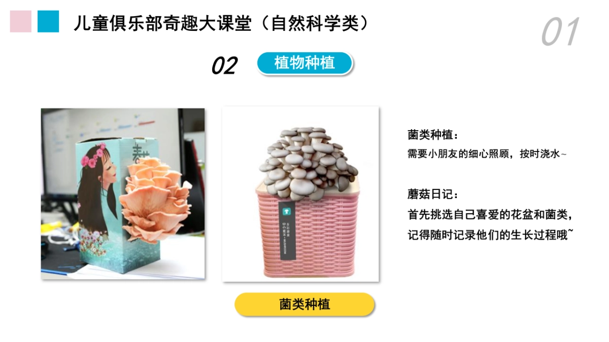 购物中心会员活动年度规划_第9页