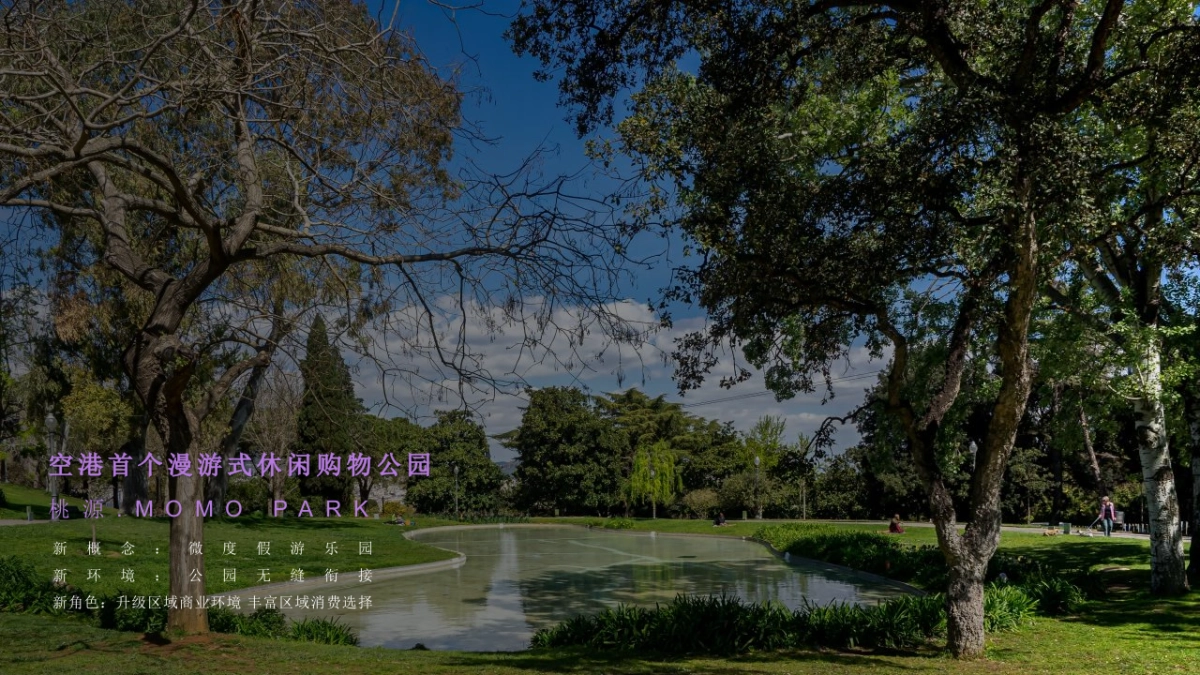 购物中心开业会员招募及地推活动方案_第5页