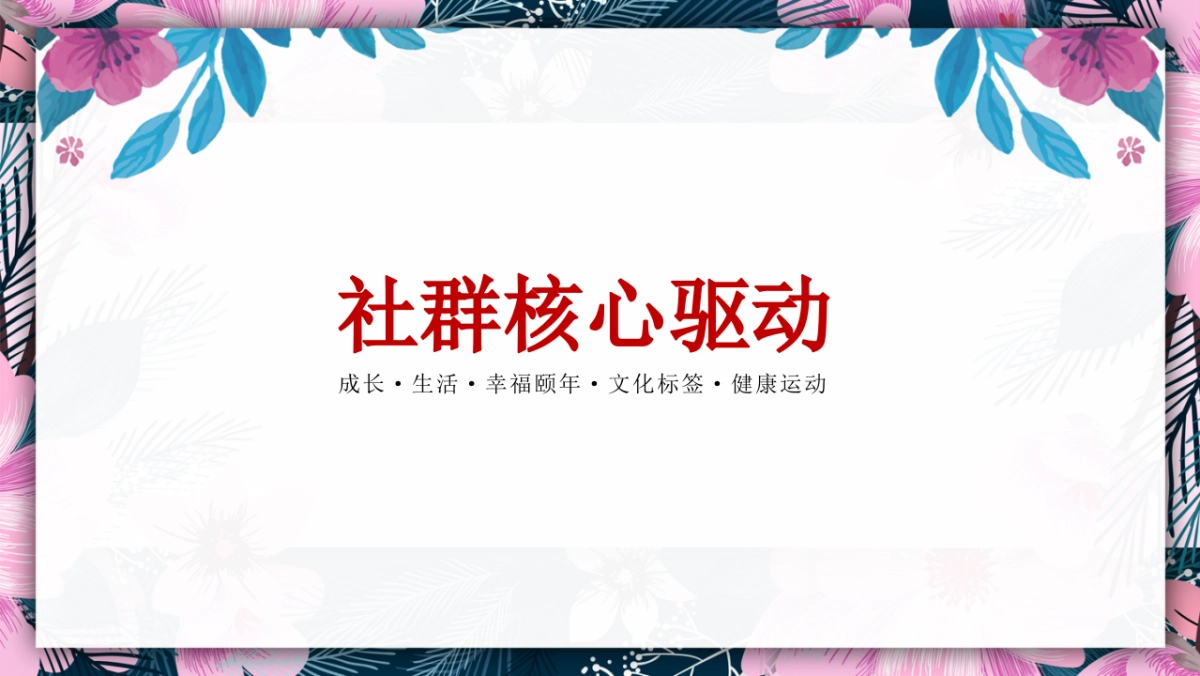 2020地产项目社群运营策划方案_第2页