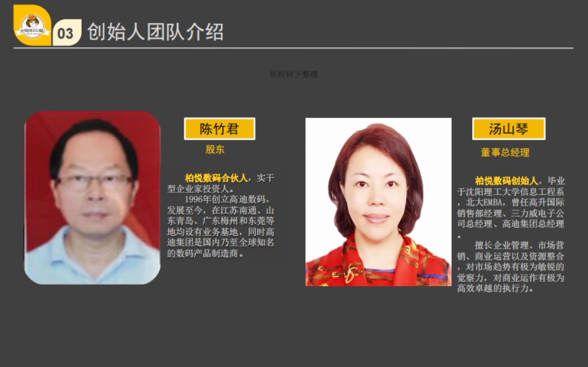 米狗智慧车生活全球连锁社群平台商业计划书_第6页