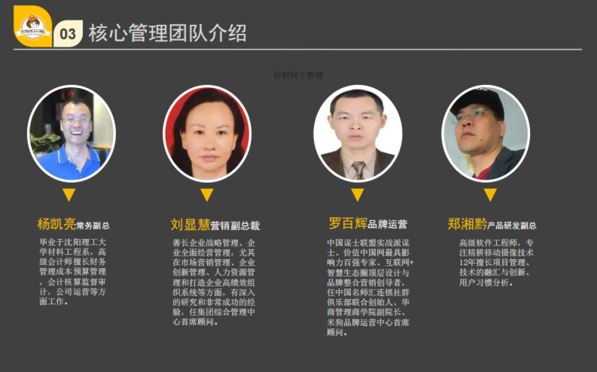 米狗智慧车生活全球连锁社群平台商业计划书_第7页