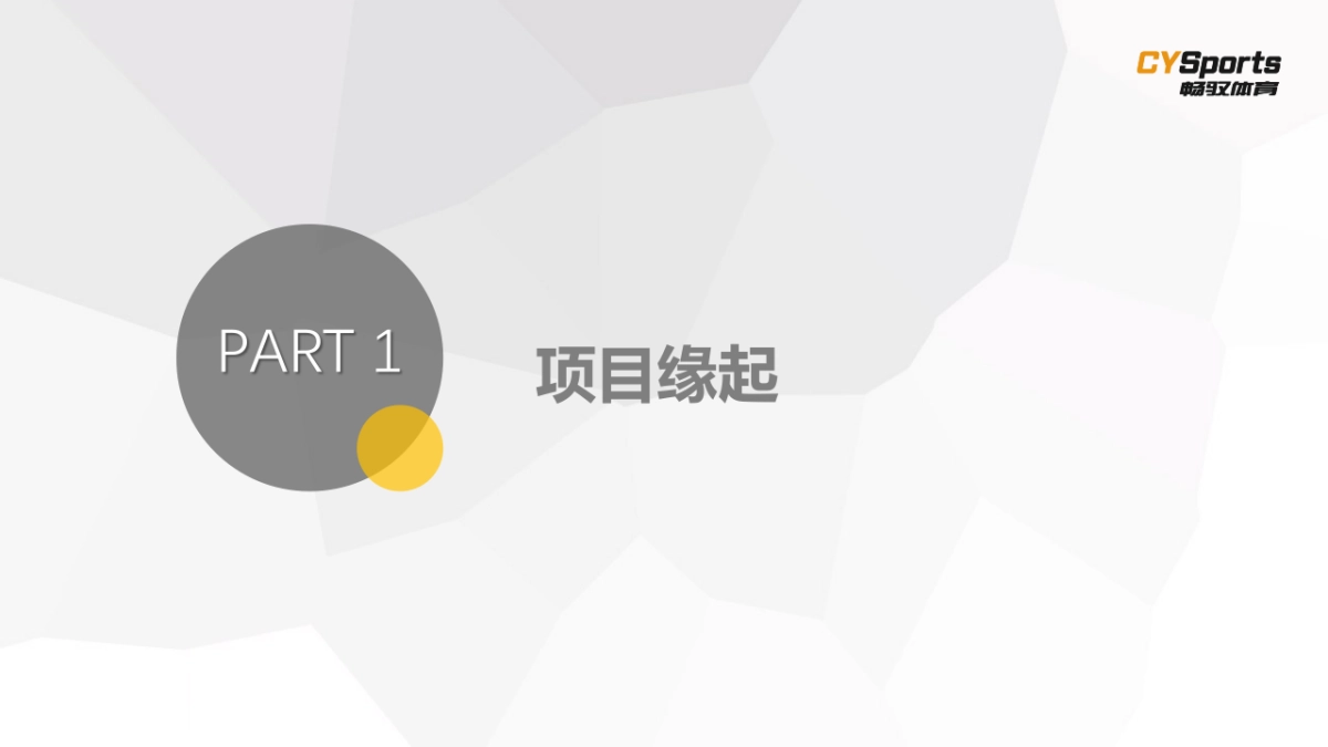 2017金桥自贸区暨碧云国际社区Beyoung运动汇方案_第3页
