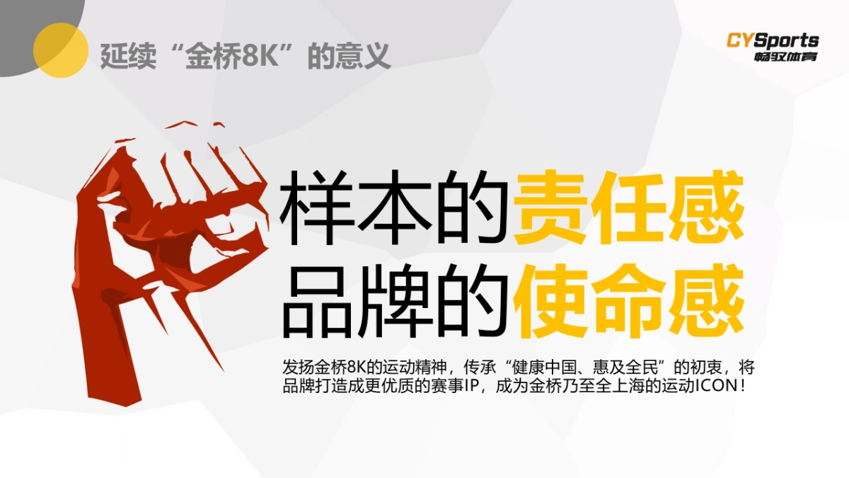 2017金桥自贸区暨碧云国际社区Beyoung运动汇方案_第6页