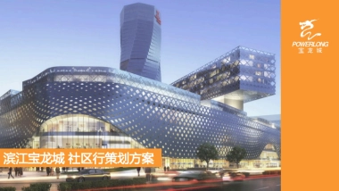 滨江宝龙城开业社区行执行细案